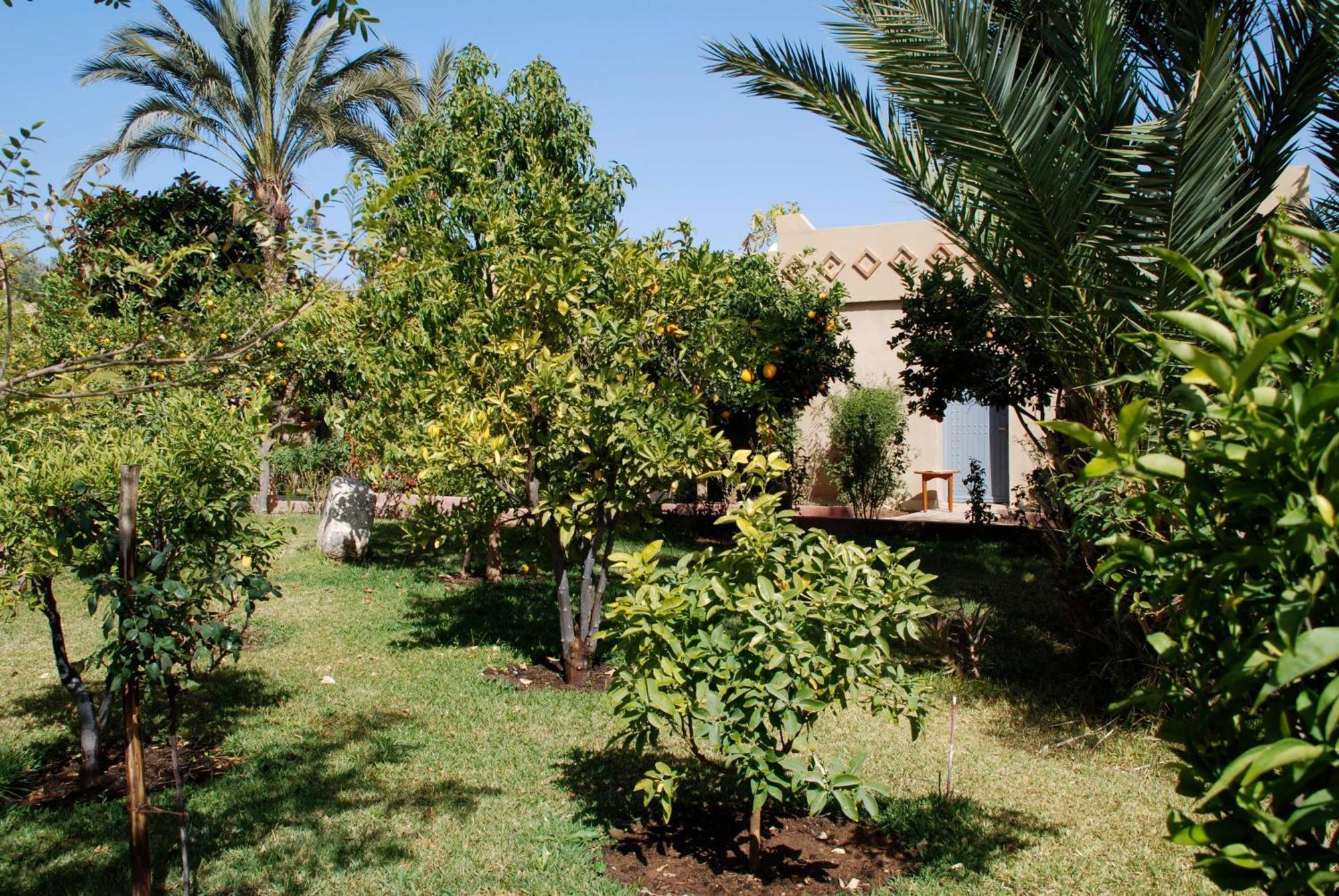 Hotel Dar Zitoune Taroudant Exterior photo